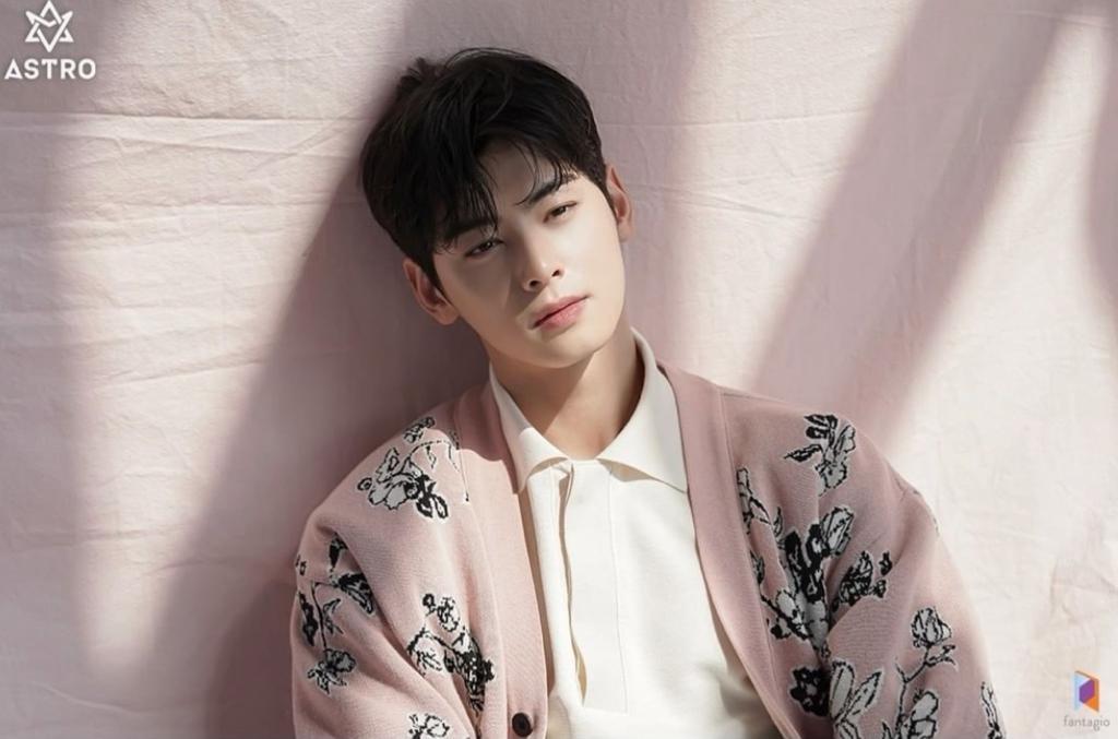 cha eun woo